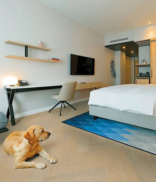 Project Floors Mellow Woods PW 5020 dąb piaskowy jodełka klejona Dryback LVT panele winylowe