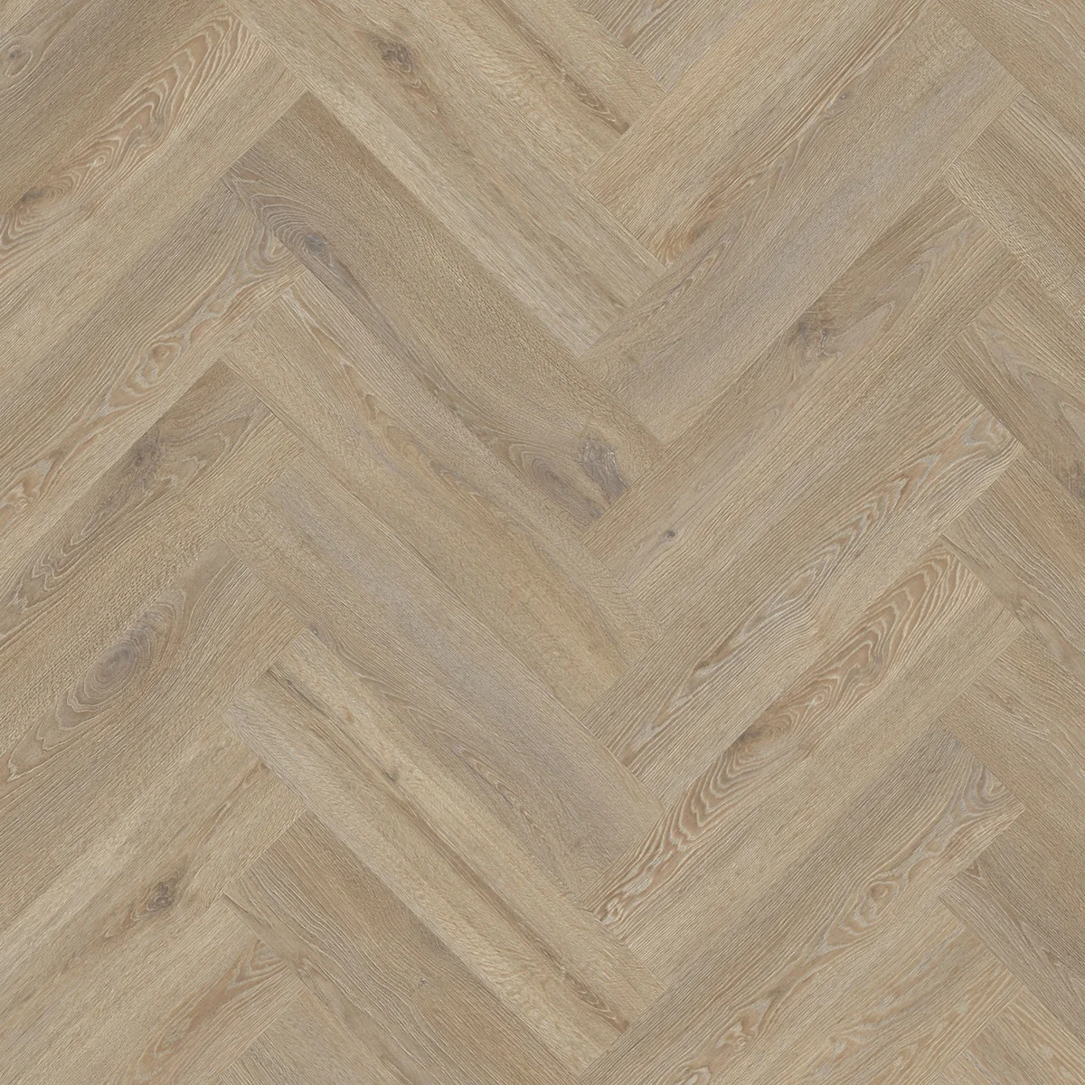 Moduleo Roots 55 EIR Galtymore Oak 86851 jodełka klejona Dryback LVT panele winylowe