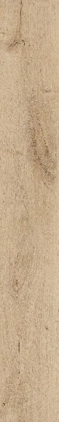 Invictus Royal Oak Blonde 33 Click SPC Primus