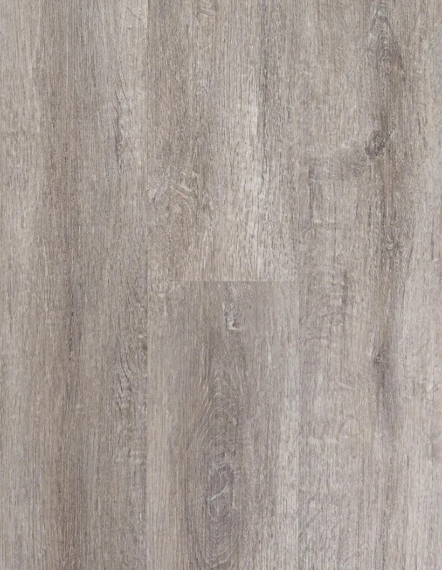 Regina Egibi Floors – panel winylowy SPC na klik 5 mm