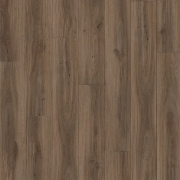 Classic Oak 24864