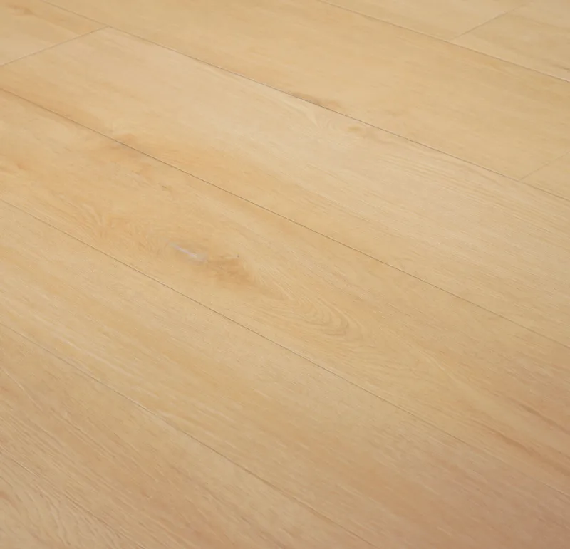 Invictus Regency Oak Scone 30 Click XL 6mm Maximus