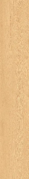 Invictus Scone 30 - Click XL 6mm - Regency Oak
