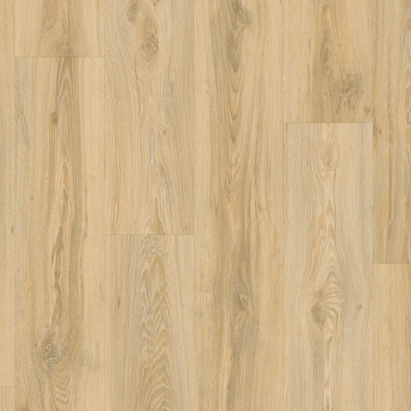 Blackjack Oak 22220