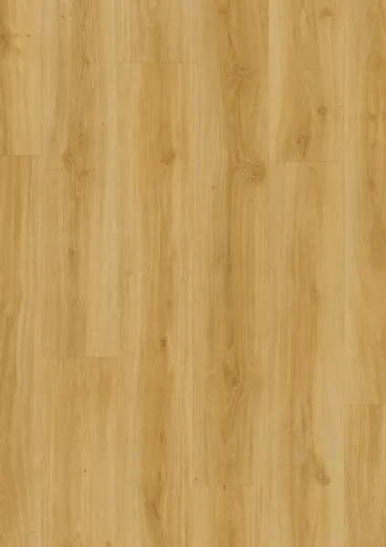 Classic Oak 24438
