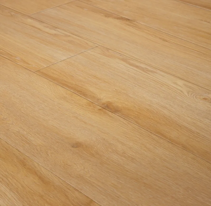 Invictus Regency Oak Bagel 45 Click XL 6mm Maximus