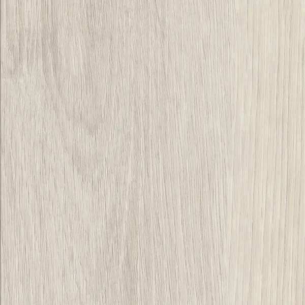 Polar 03