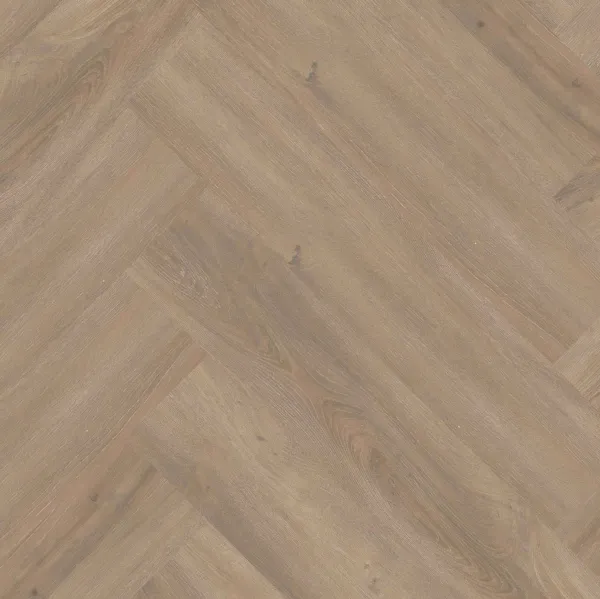 Invictus Divine Oak Cookie 32 Herringbone Dryback LVT Maximus