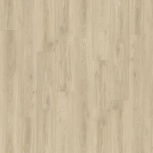 Blackjack Oak 22215