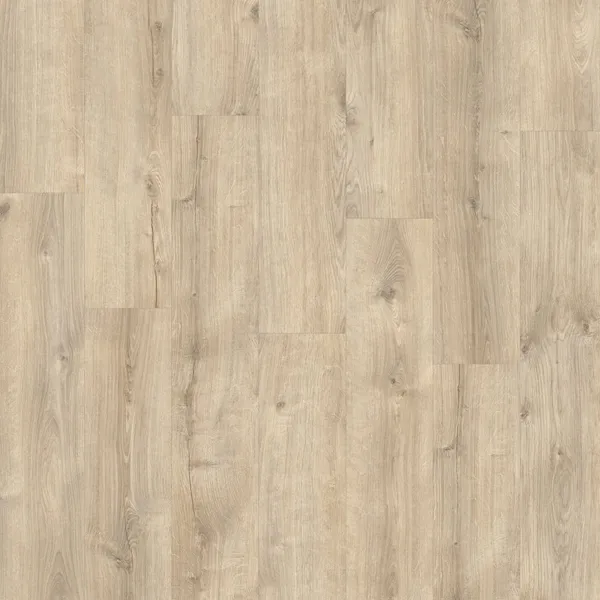 Galway Oak 87269