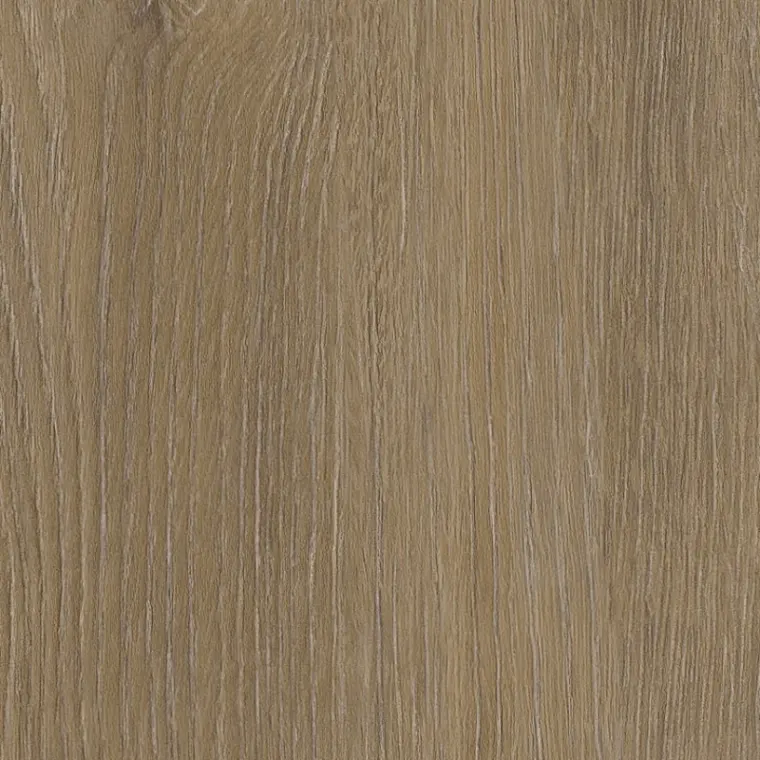 Invictus Cookie 32 - Click XL 6mm - Divine Oak