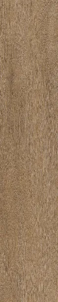 Invictus Cookie 32 - Divine Oak - Click XL 6mm
