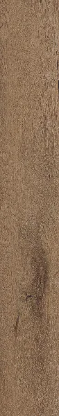 Invictus Royal Oak Mocca 40 Click SPC Primus