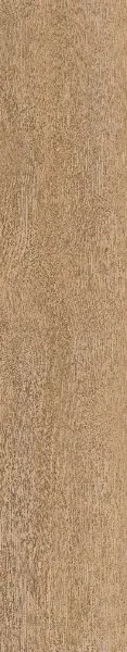 Invictus Champagne 31 - Divine Oak - Click XL 6mm