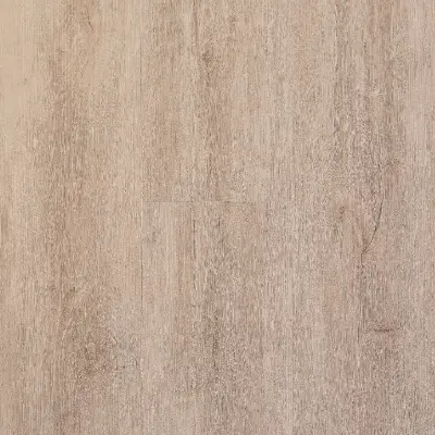 Windsor XXL — SPC na klik 8 mm