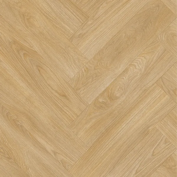Laurel Oak 51282