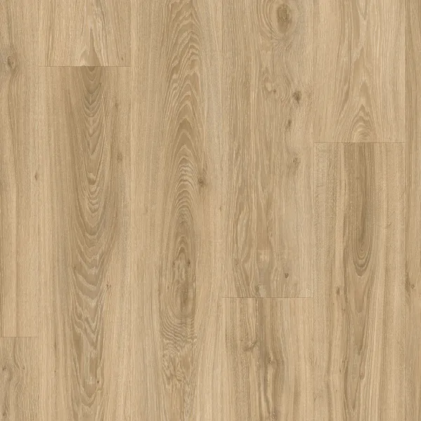 Blackjack Oak 22229
