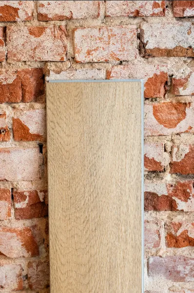 Zrzut ekranu 2026-02-09 130339.webp