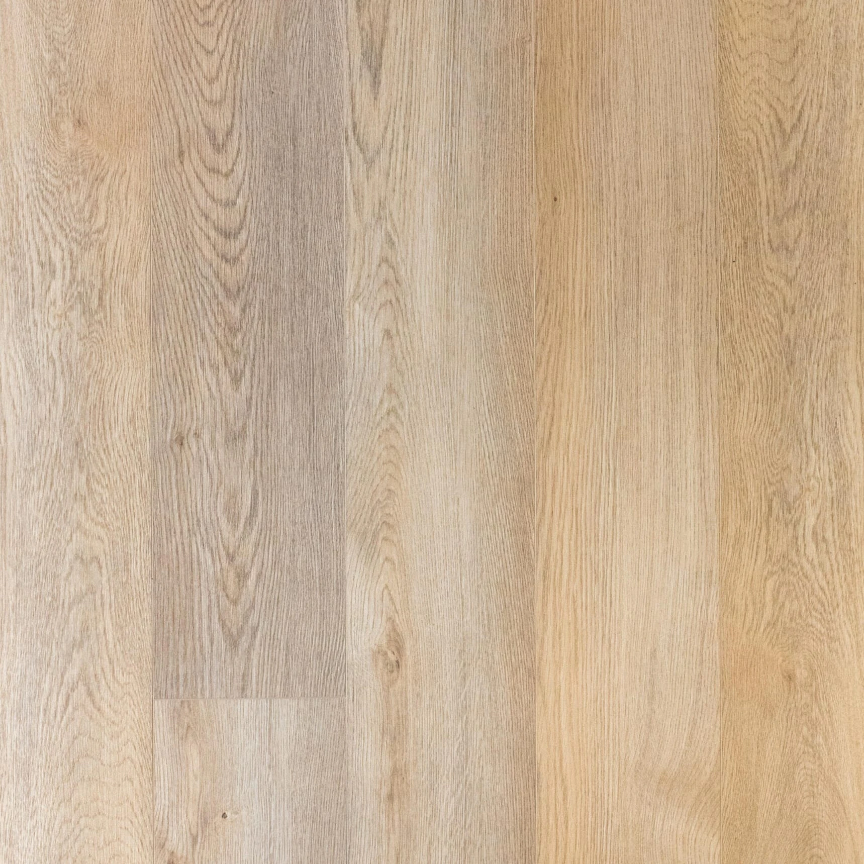 Capri Podłogi z Natury – panel winylowy SPC na klik 5 mm