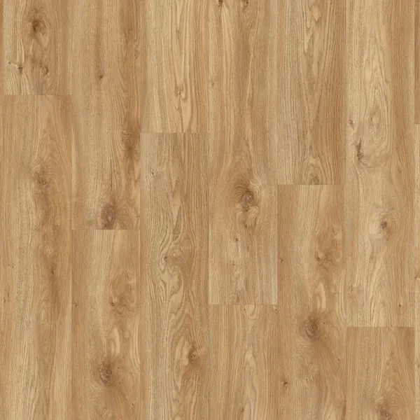 Sierra Oak 58346