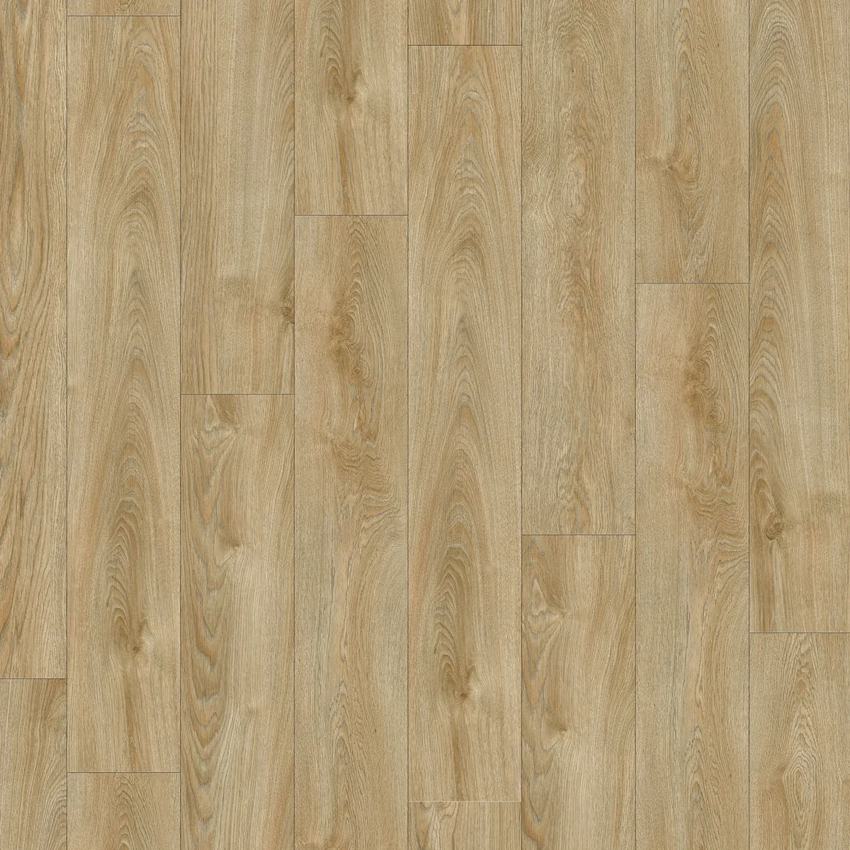 Moduleo Roots 40 Midland Oak 22240 deska klejona Dryback LVT panele winylowe