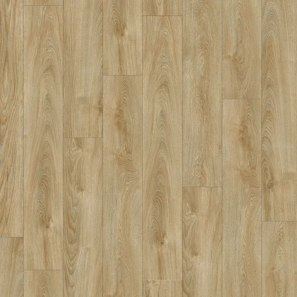 Midland Oak 22240