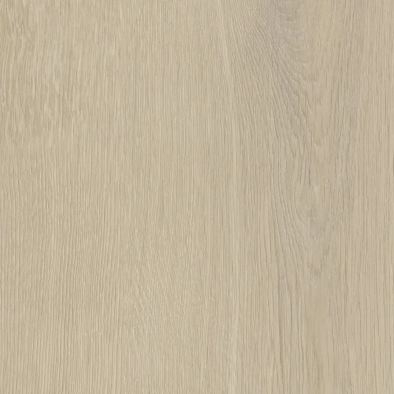 Invictus Truffle 31 - Click XL 6mm - Belrose Oak
