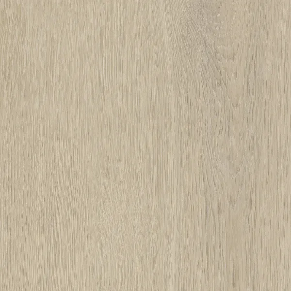 Invictus Belrose Oak Truffle 31 Click XL 6mm Maximus