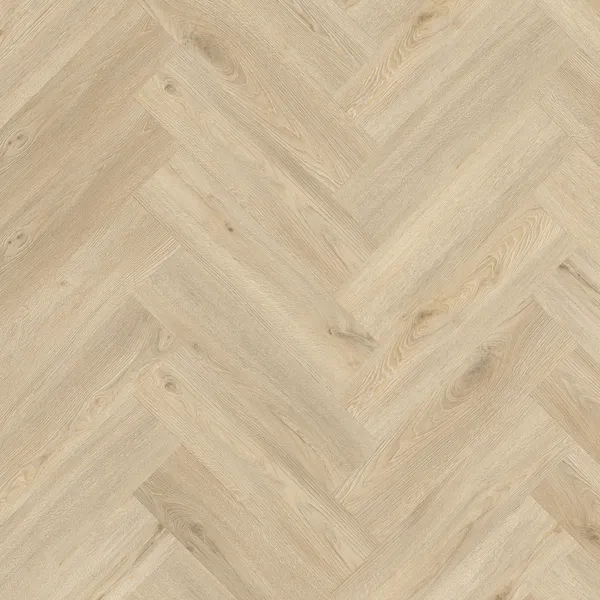Galtymore Oak 86237