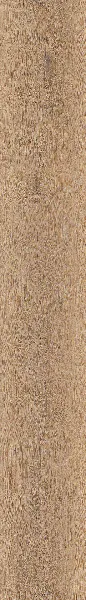 Invictus Oat 32 - Click 6mm - Silk Oak