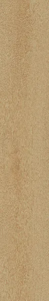 Invictus Sesame 36 - Click XL 6mm - Belrose Oak