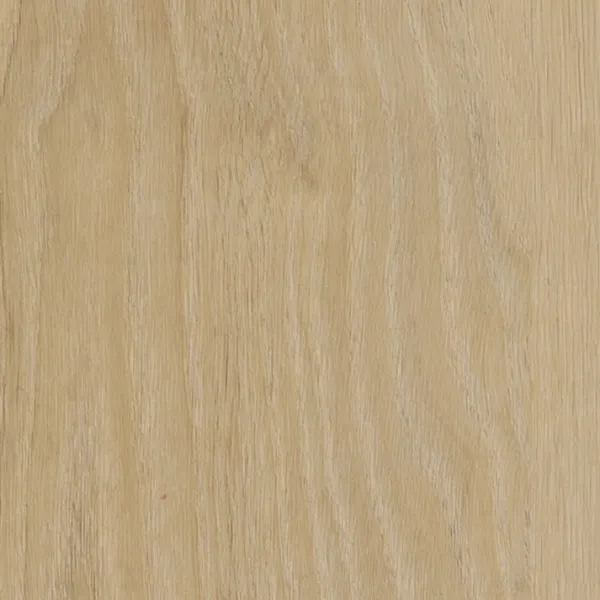 Sesame 36