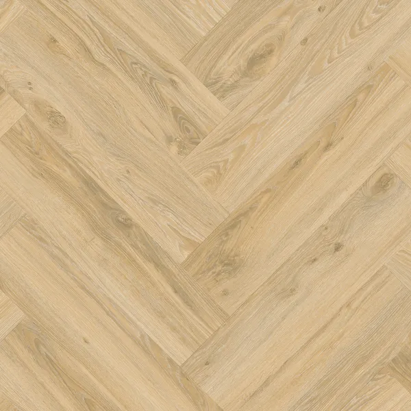 Blackjack Oak 22220