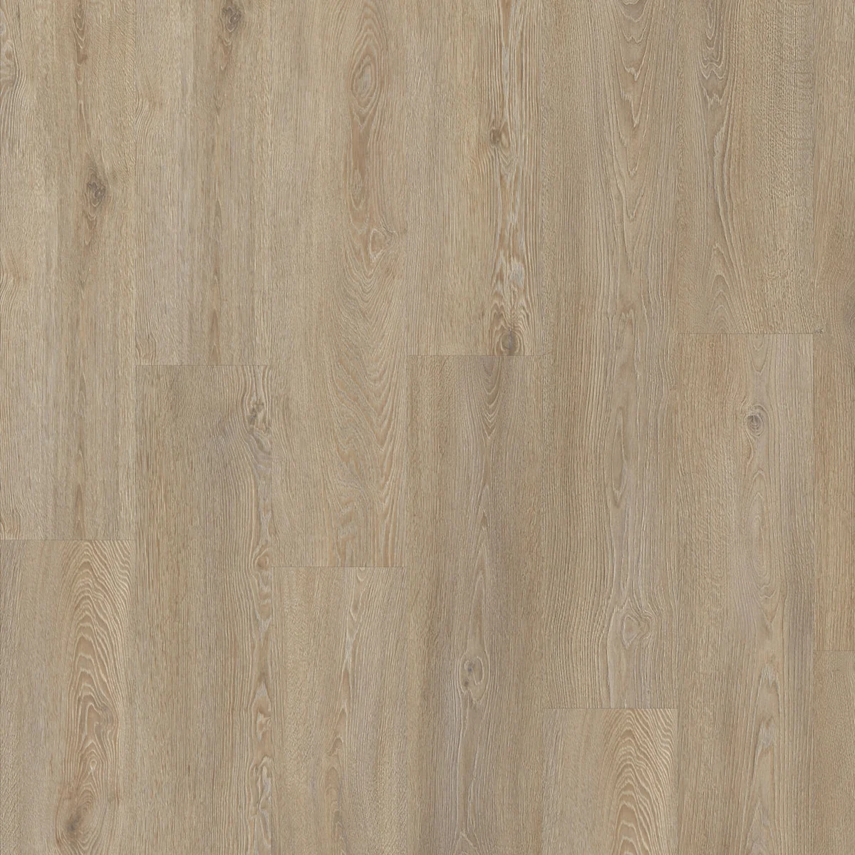 Moduleo Roots 55 EIR Galtymore Oak 86851 deska XL klejona Dryback LVT panele winylowe