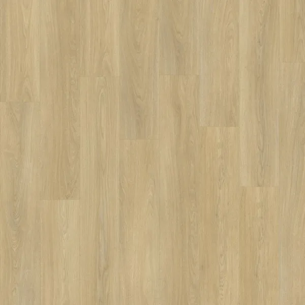 Dąb Eternity 99626