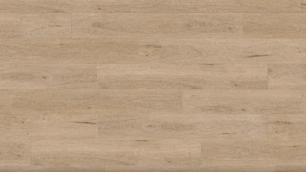 Upland Oak