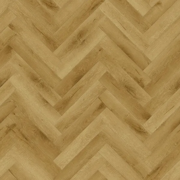 Dąb Euforia 99269