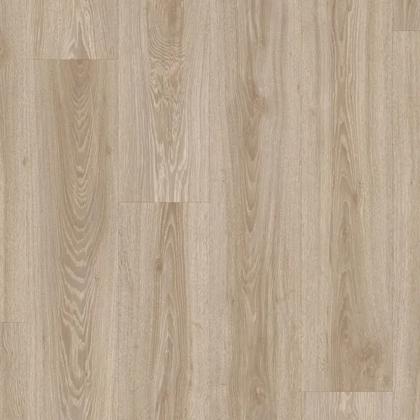 Blackjack Oak 22246