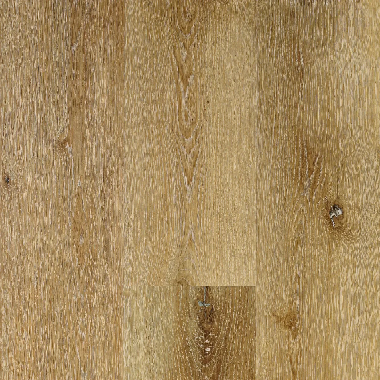 Montreal Egibi Floors — SPC na klik 5 mm