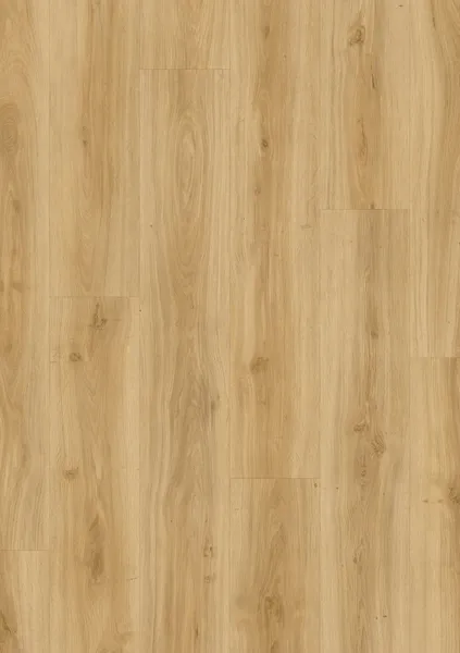 Classic Oak 24837