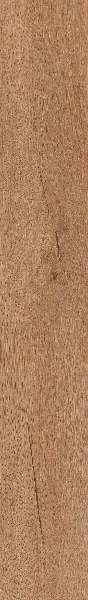 Invictus Riviera Oak Caramel 45 Dryback LVT Primus