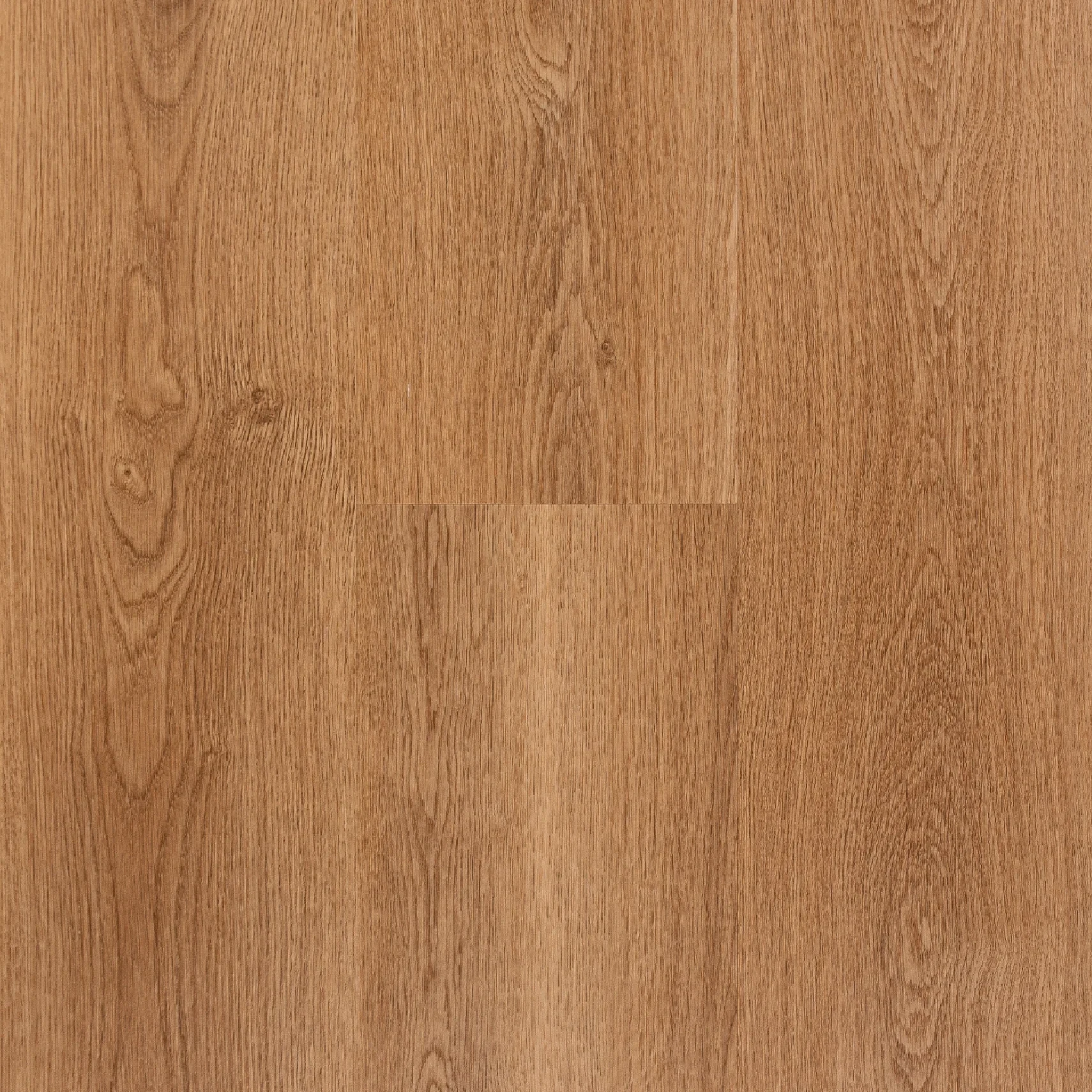 Egibi Floors Barrie Oak XXL – panele winylowe SPC na klik 8 mm